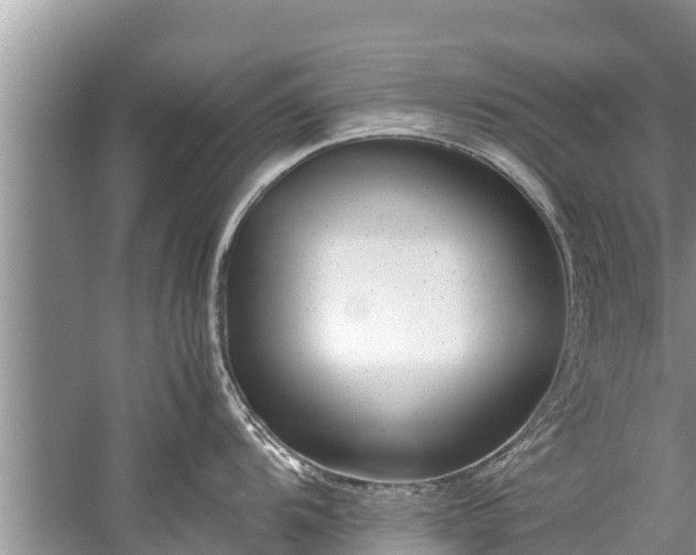 X0000059811104200510241349