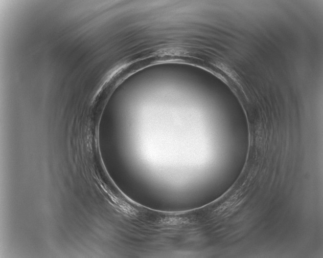 X0000059811115200510241348