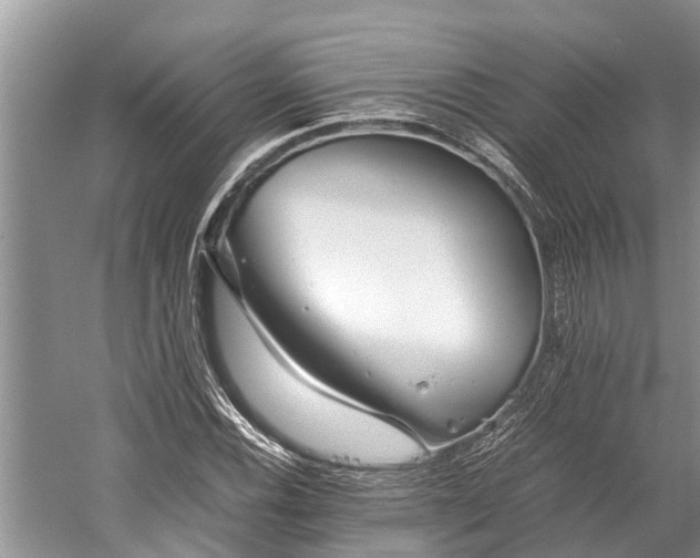 X0000059811116200510241348