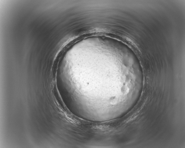 X0000059811117200510241348