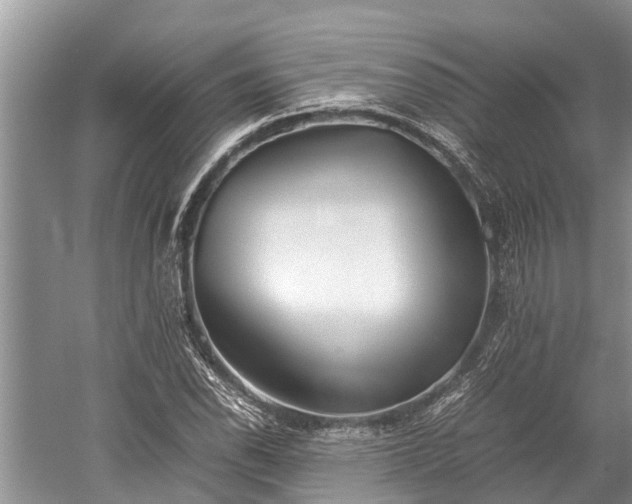 X0000059811118200510241348