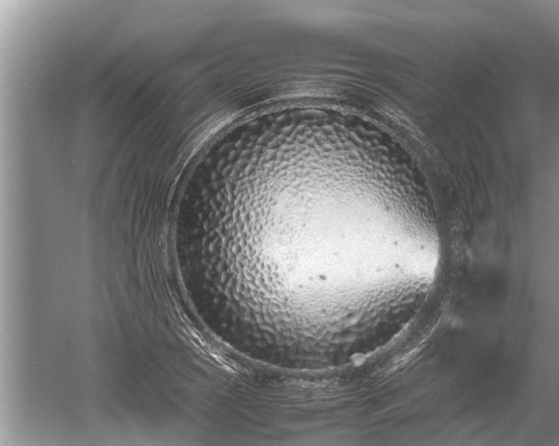 X0000059811121200510241348