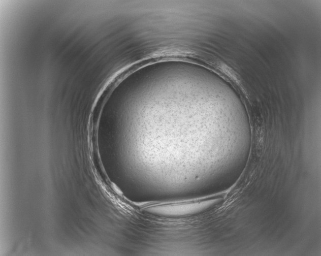 X0000059811124200510241348