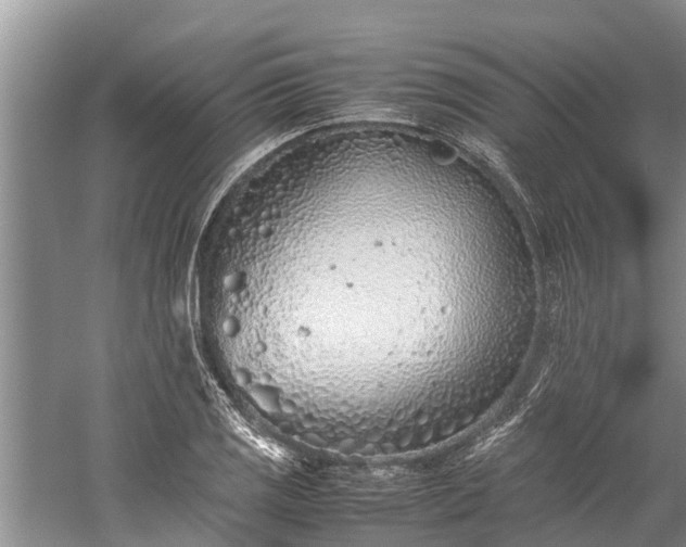 X0000059811125200510241348