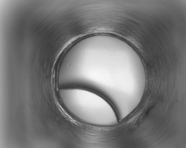 X0000059811126200510241348