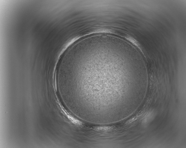 X0000059811127200510241348