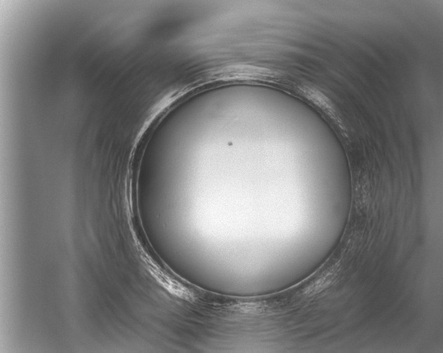 X0000059811130200510241348