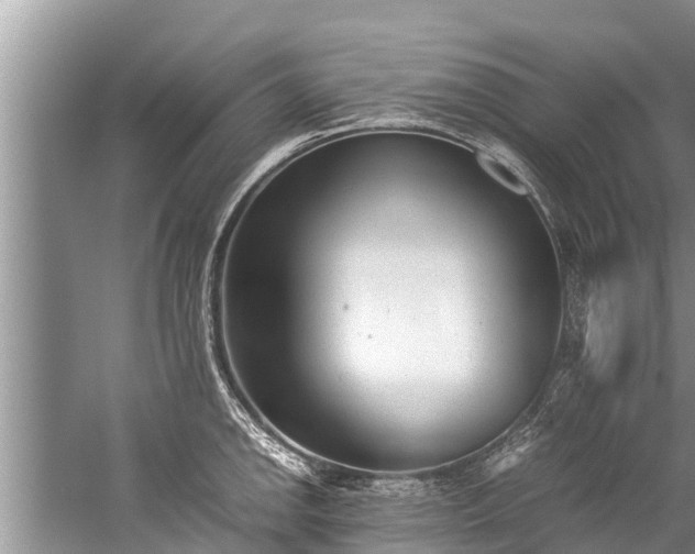 X0000059811142200510241349