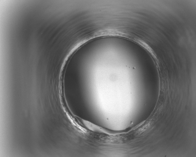 X0000059811144200510241349