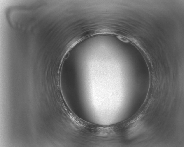 X0000059811145200510241349