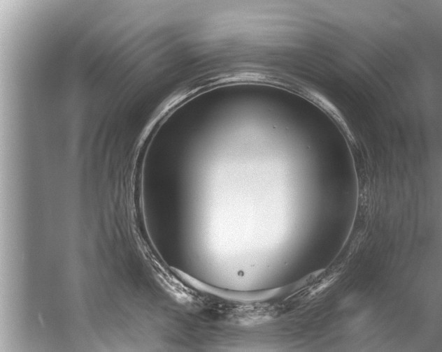 X0000059811146200510241349