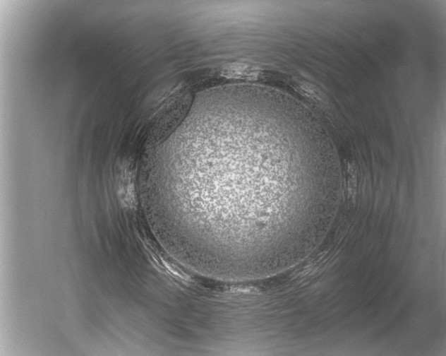 X0000059811154200510241348