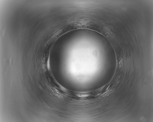 X0000059811156200510241348