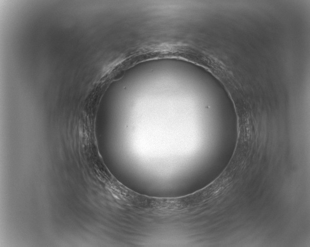 X0000059811158200510241348