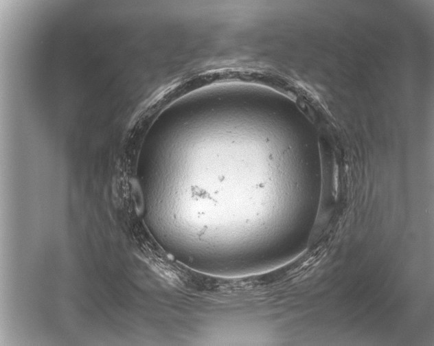 X0000059811159200510241348