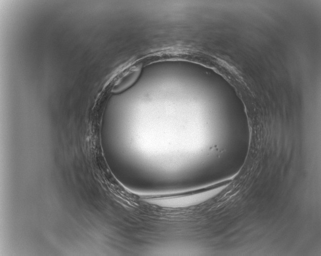 X0000059811160200510241348