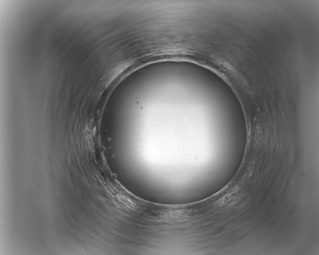 X0000059811162200510241348