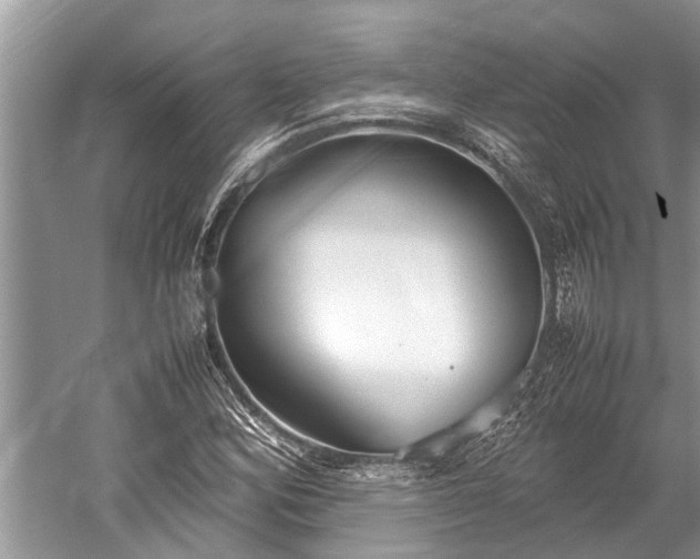 X0000059811164200510241348