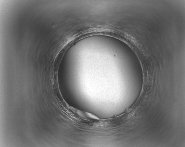 X0000059811165200510241348