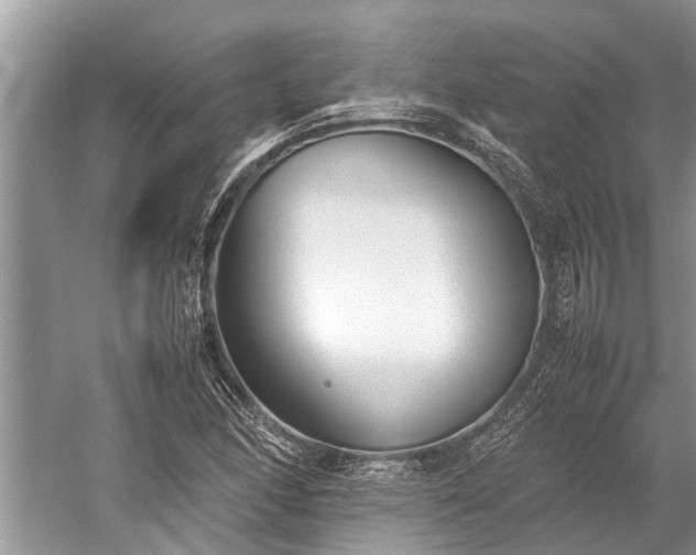 X0000059811166200510241348