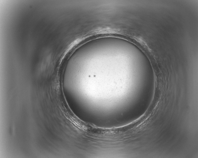 X0000059811167200510241348