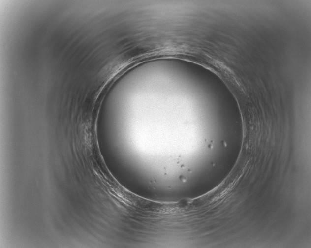 X0000059811170200510241348