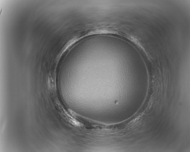 X0000059811173200510241348