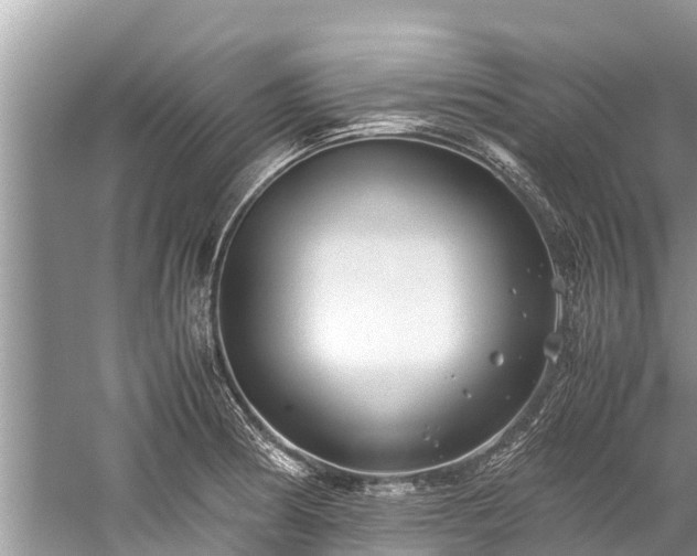 X0000059811186200510241347