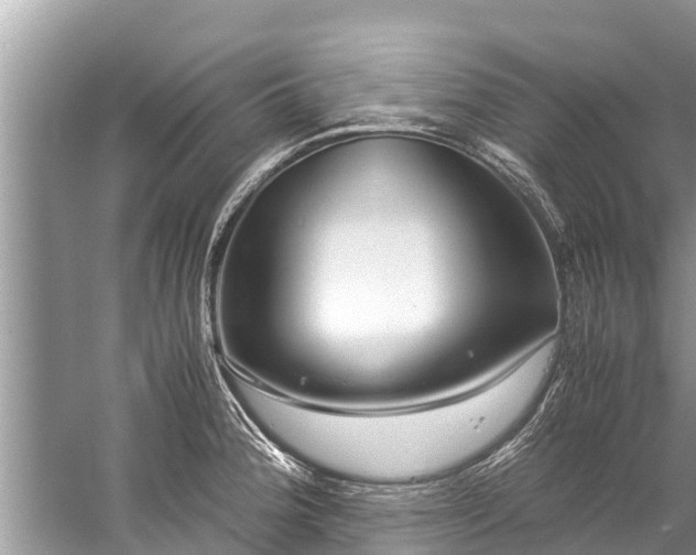 X0000059811188200510241347