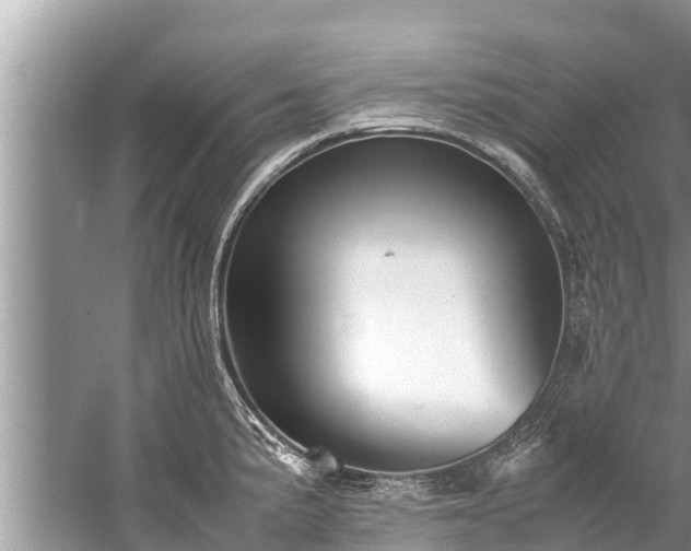 X0000059811191200510241347