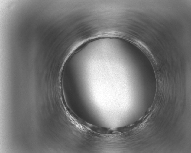 X0000059811192200510241347