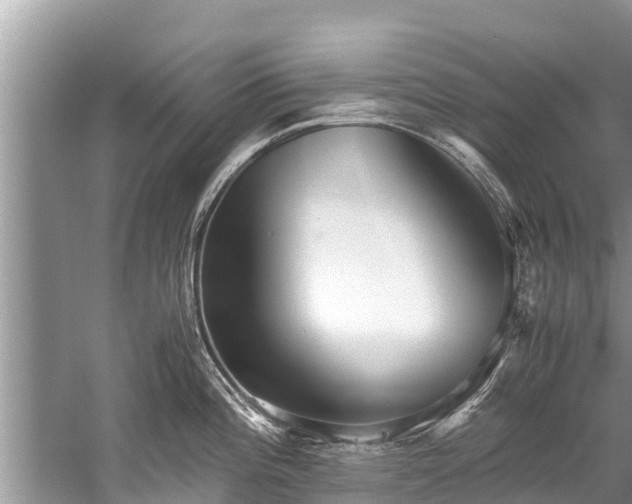 X0000059811196200510241347