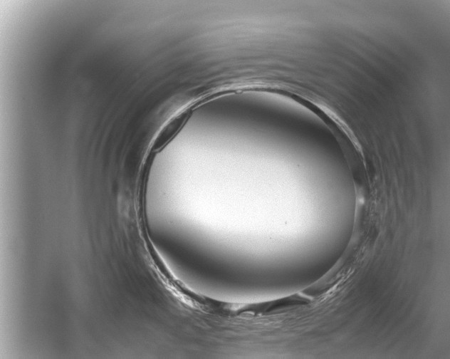 X0000059811197200510241347