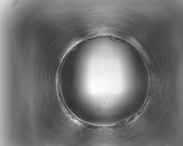 X0000059811198200510241347