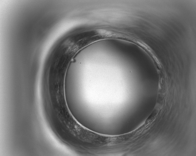 X0000059811199200510241347