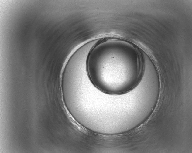 X0000059811200200510241347