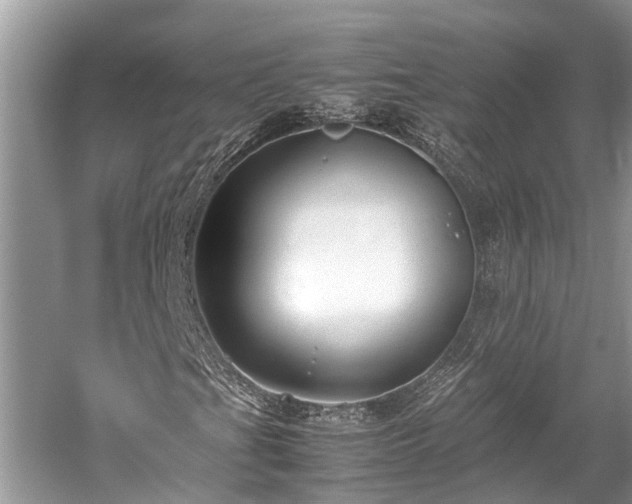 X0000059811201200510241346