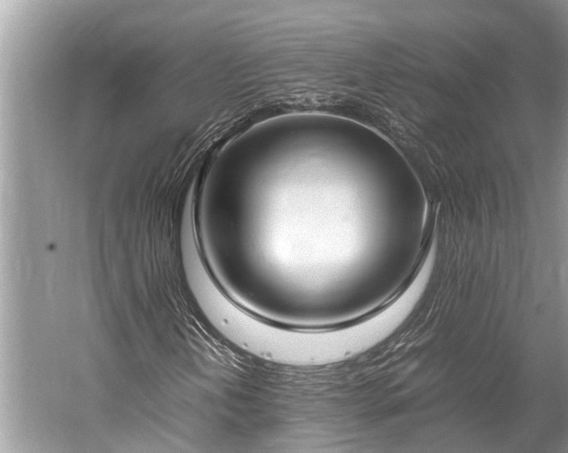 X0000059811202200510241346