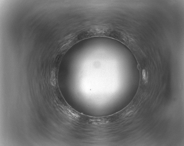 X0000059811203200510241346