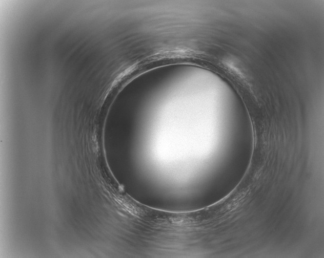 X0000059811218200510241347