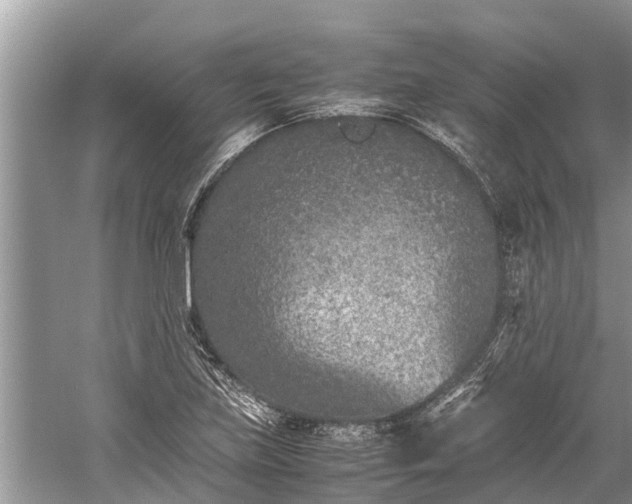 X0000059811219200510241347