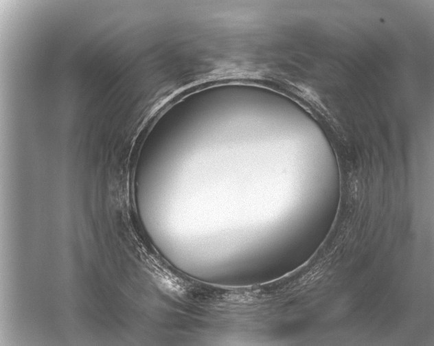 X0000059811220200510241347