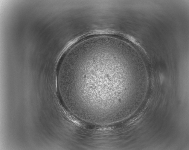 X0000059811221200510241347