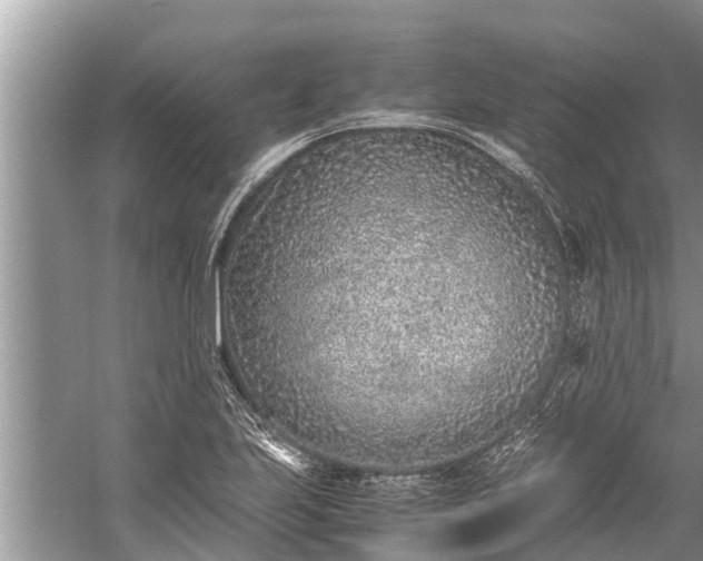 X0000059811223200510241347