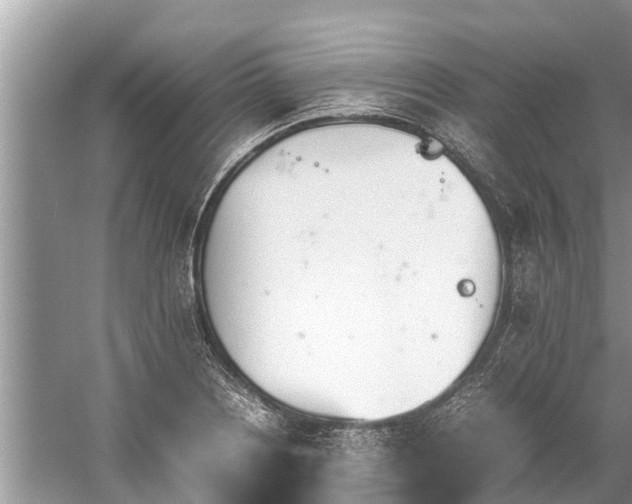 X0000059811226200510241347