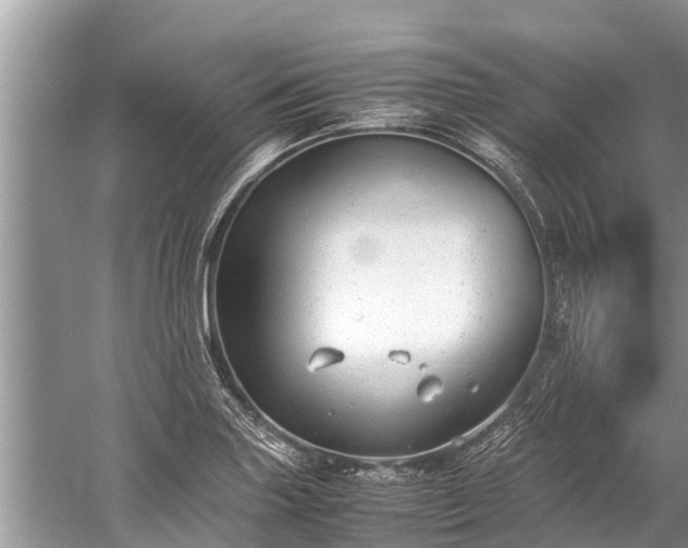 X0000059811227200510241347