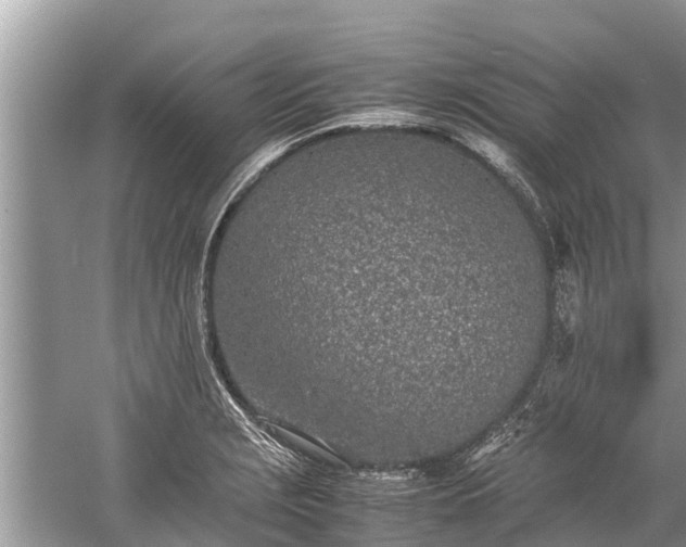 X0000059811229200510241347