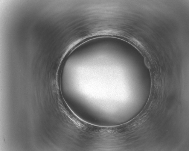 X0000059811230200510241347