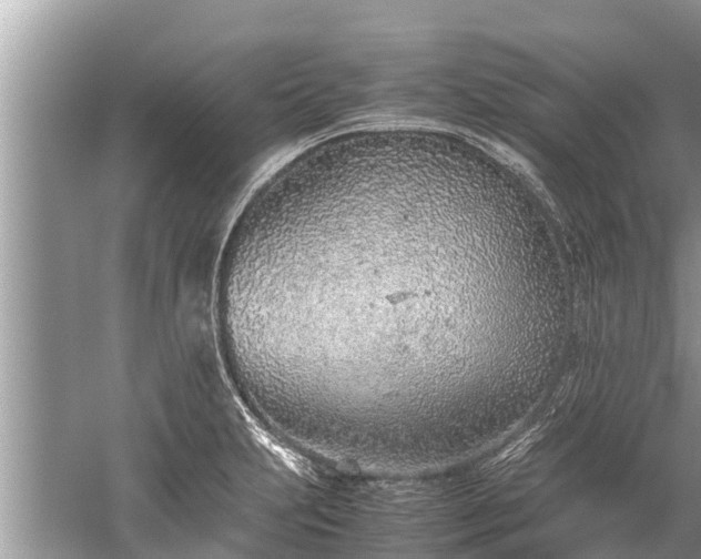 X0000059811231200510241347