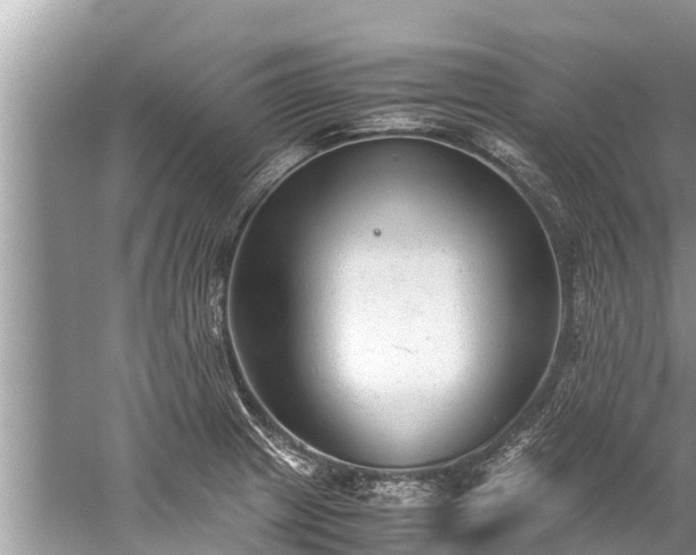 X0000059811233200510241347